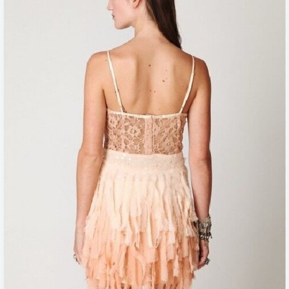 Free People Feather Beaded Lace Chiffon Dress - Picture 2 of 6